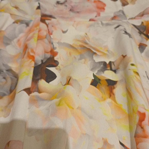 Alannah Hill I kissed a Prince dress size 10 - Picture 6 of 10